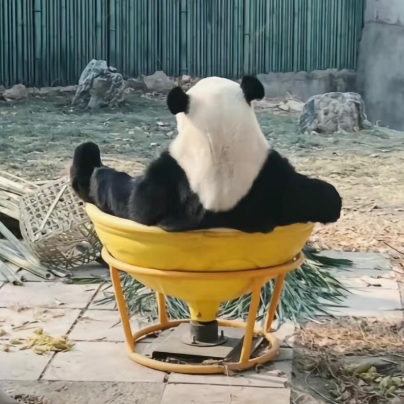 坦然🥹