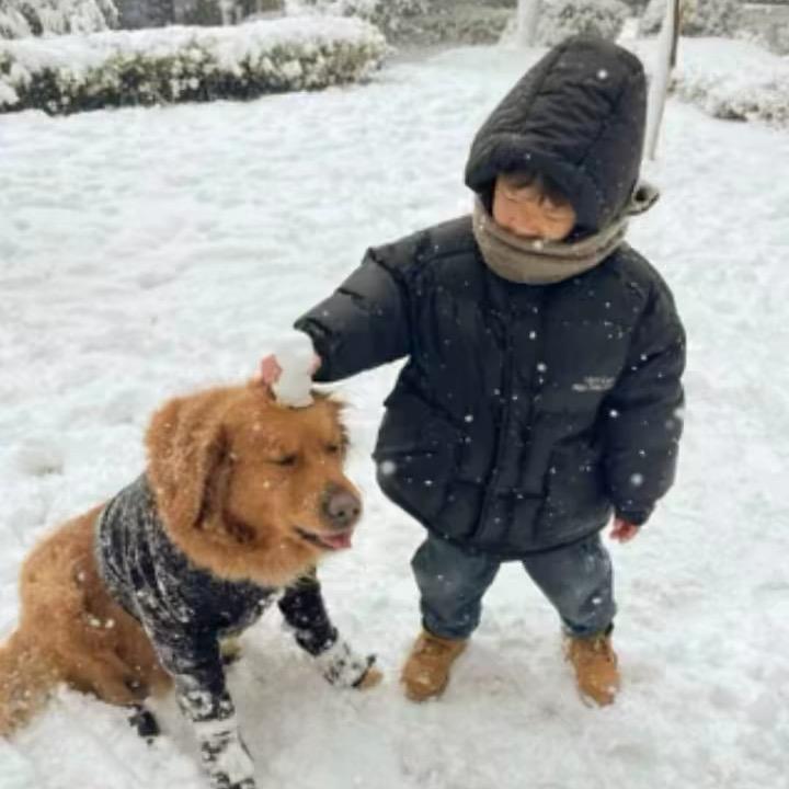 @沉默是金