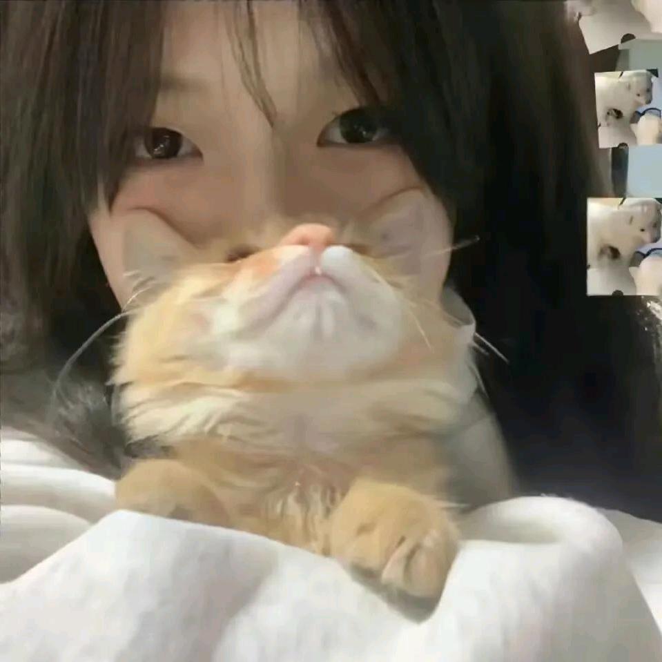 小原歪优