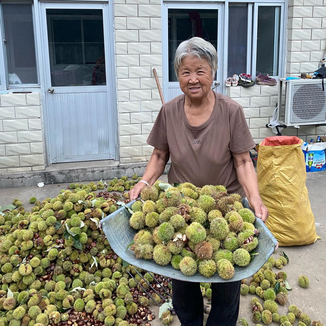 好栗友（迁西板栗）