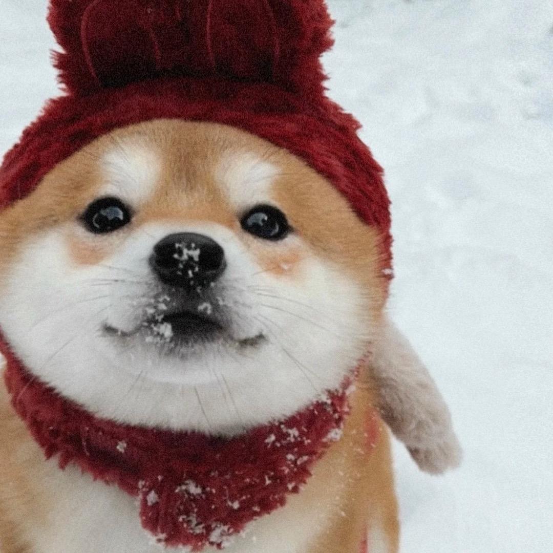 捞起月亮的渔民