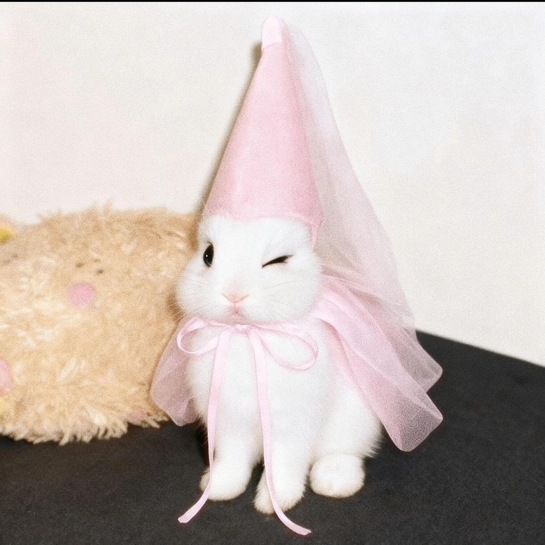 ʚ ɞ