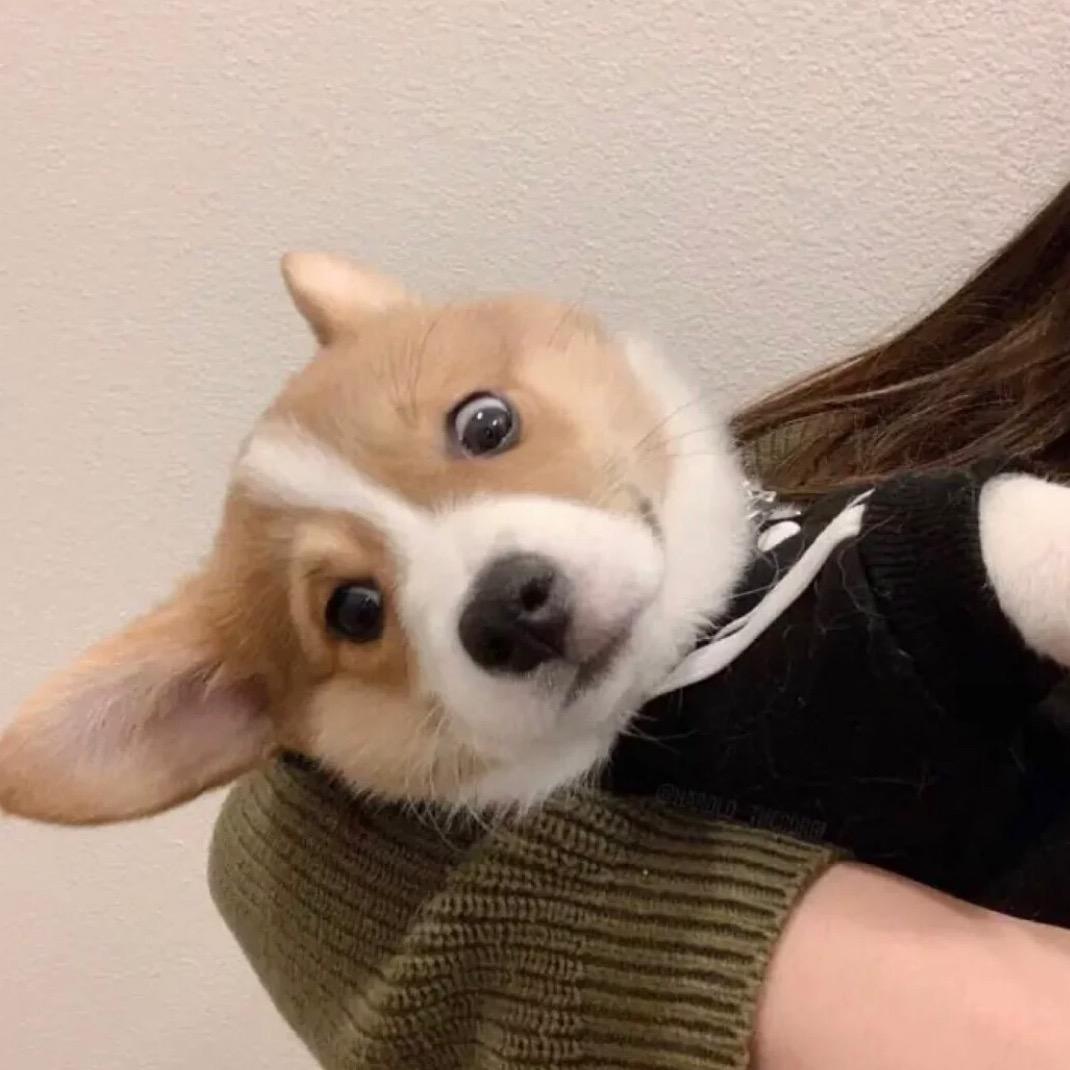 毛利兰