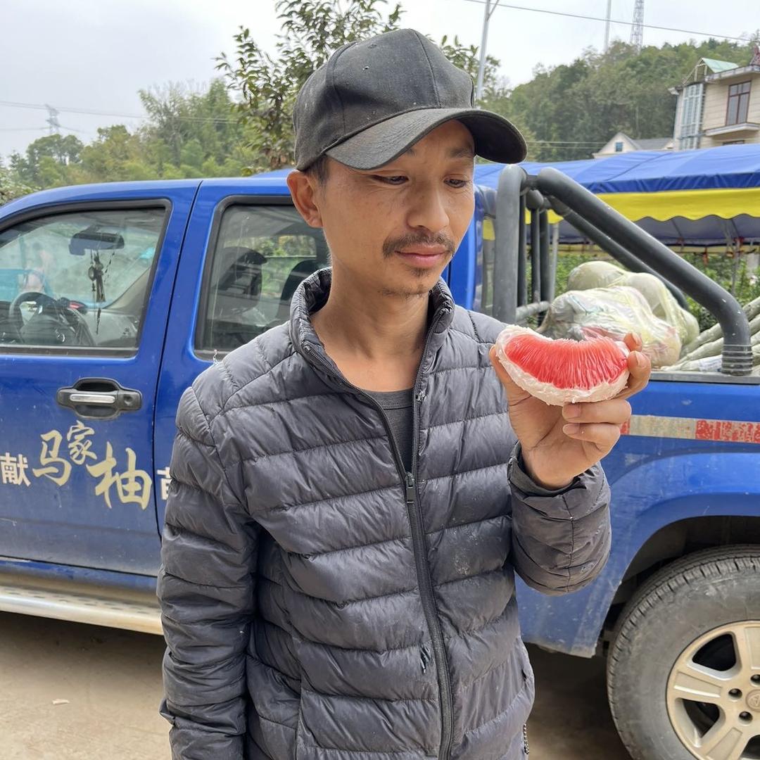 诗献园艺马家柚果树苗木专卖店