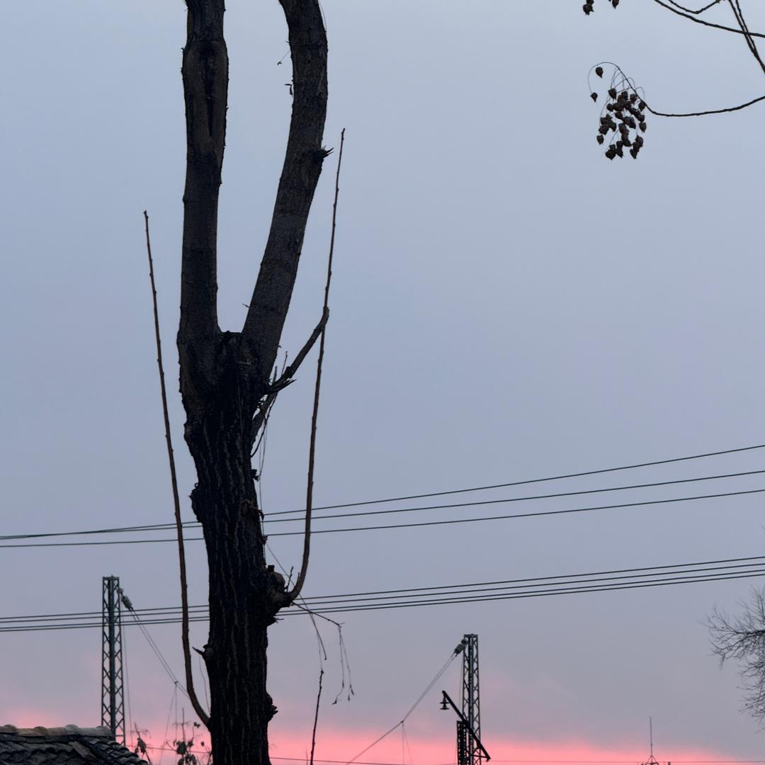 小张的幸福生活W