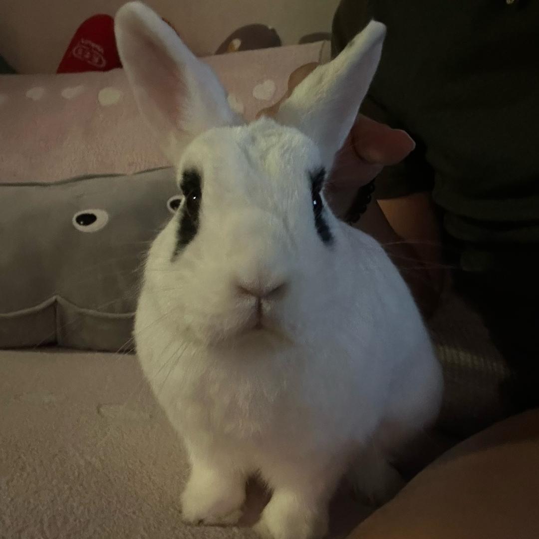 琴咖慢生活