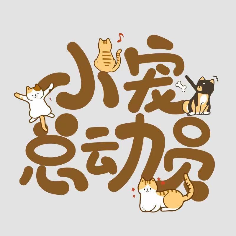 NJmidieer头像