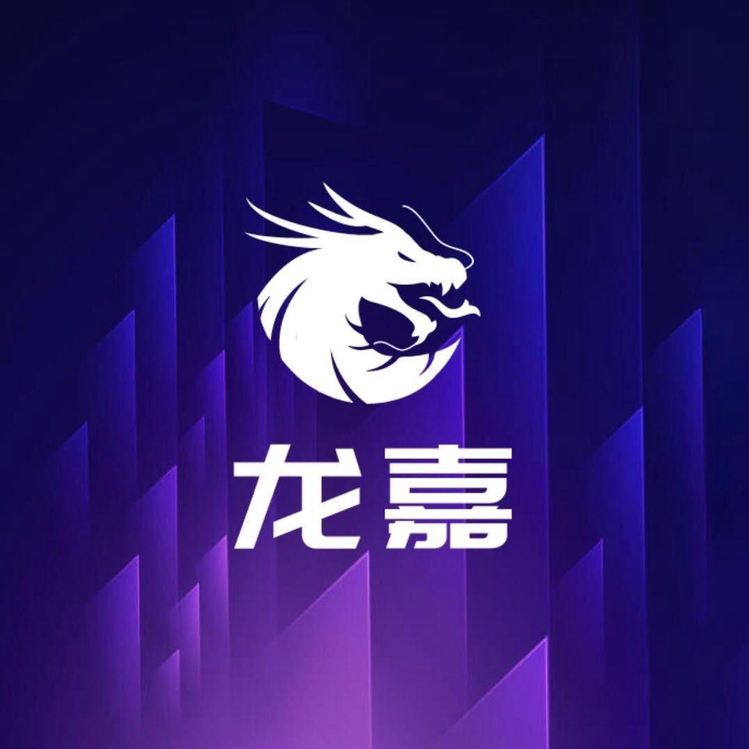 龙嘉网游