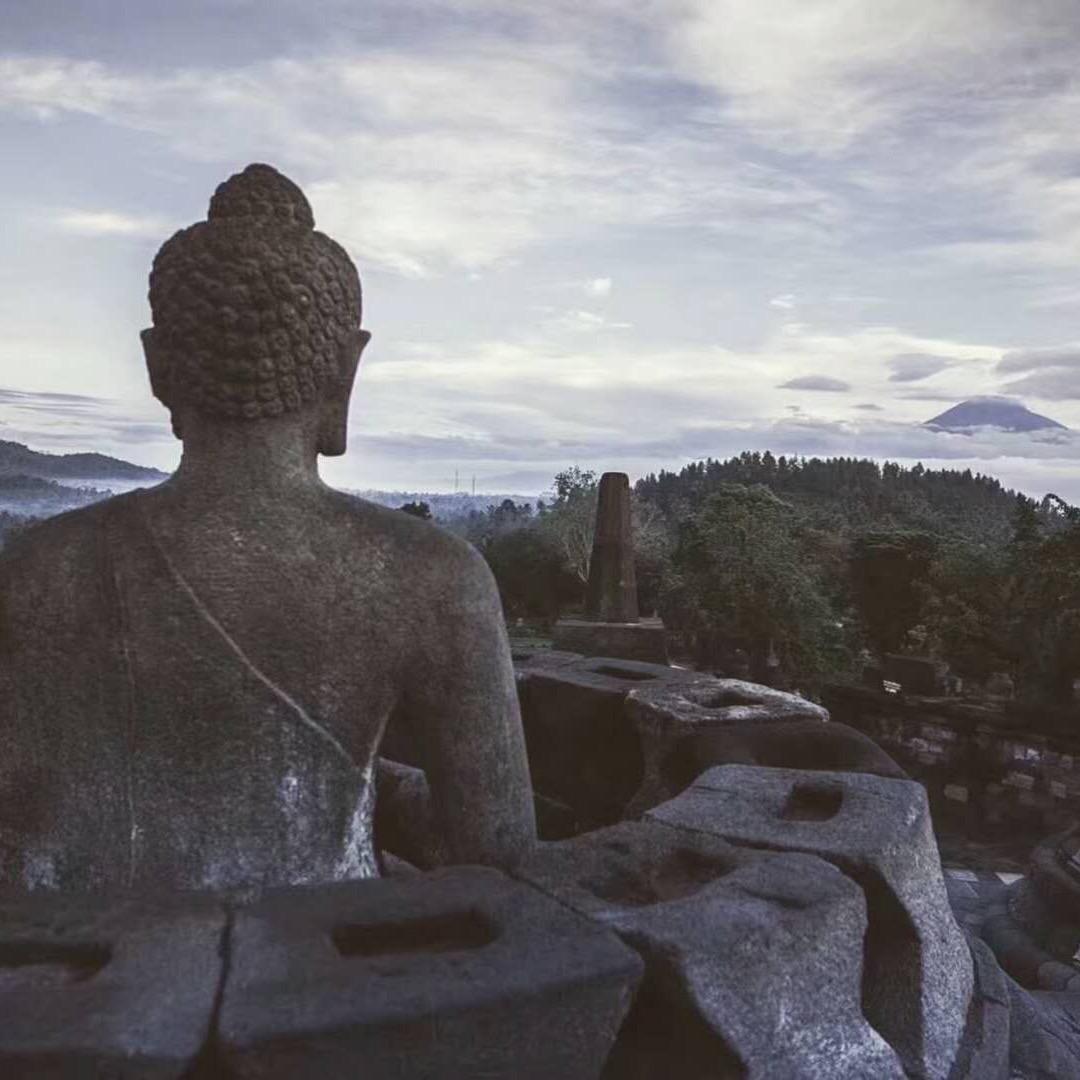 徐老湿爱薅