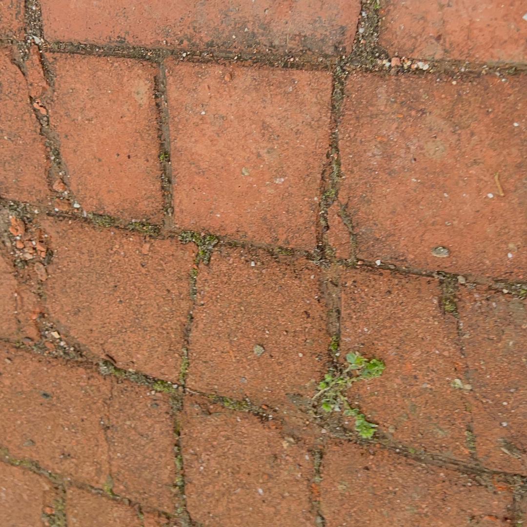 蛙蛙的搬砖日记