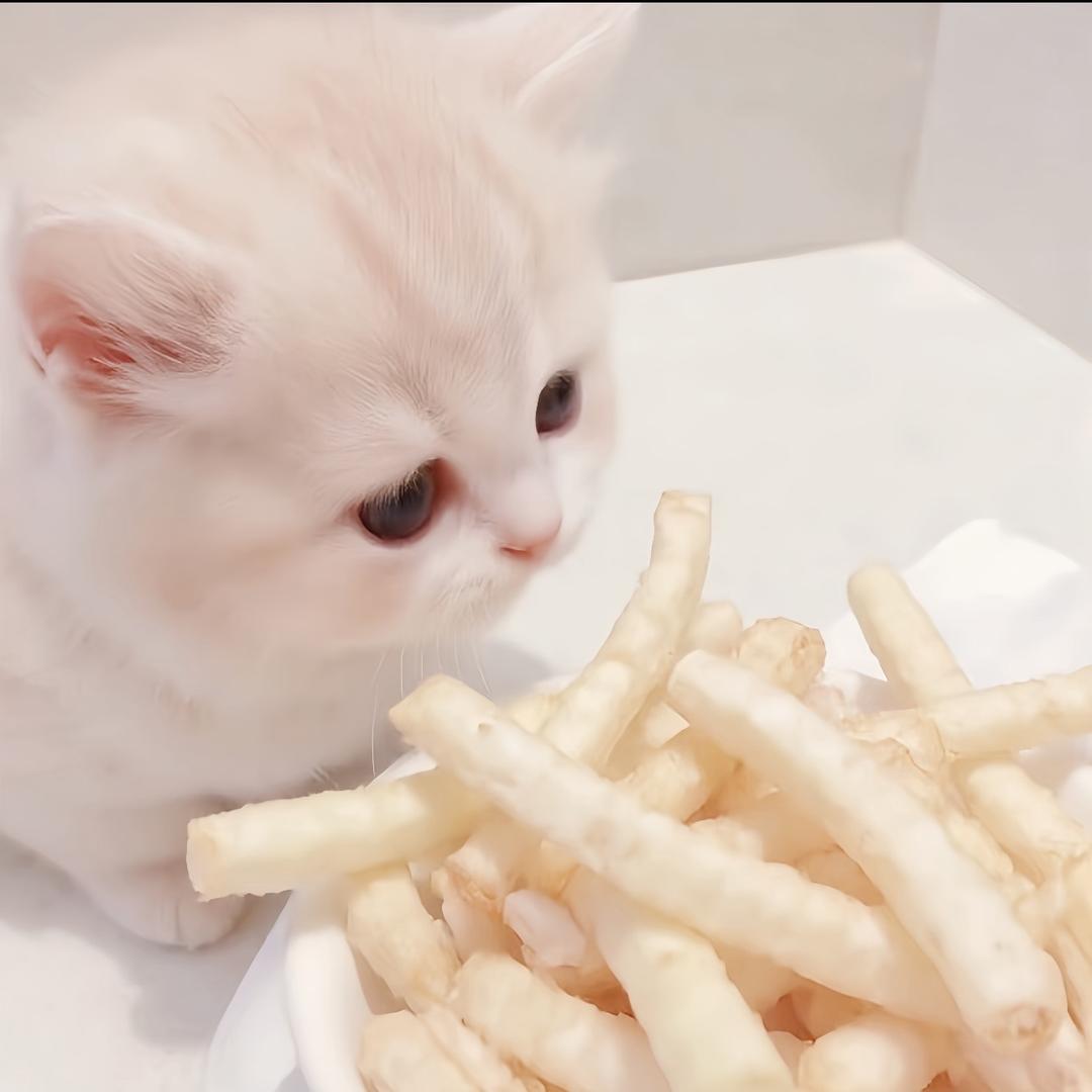 小熊ㅤㅤㅤ