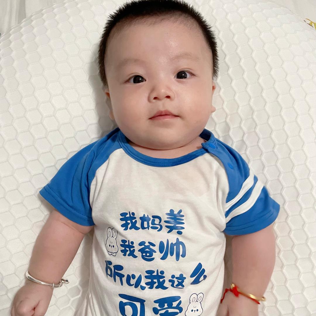 南方小木木