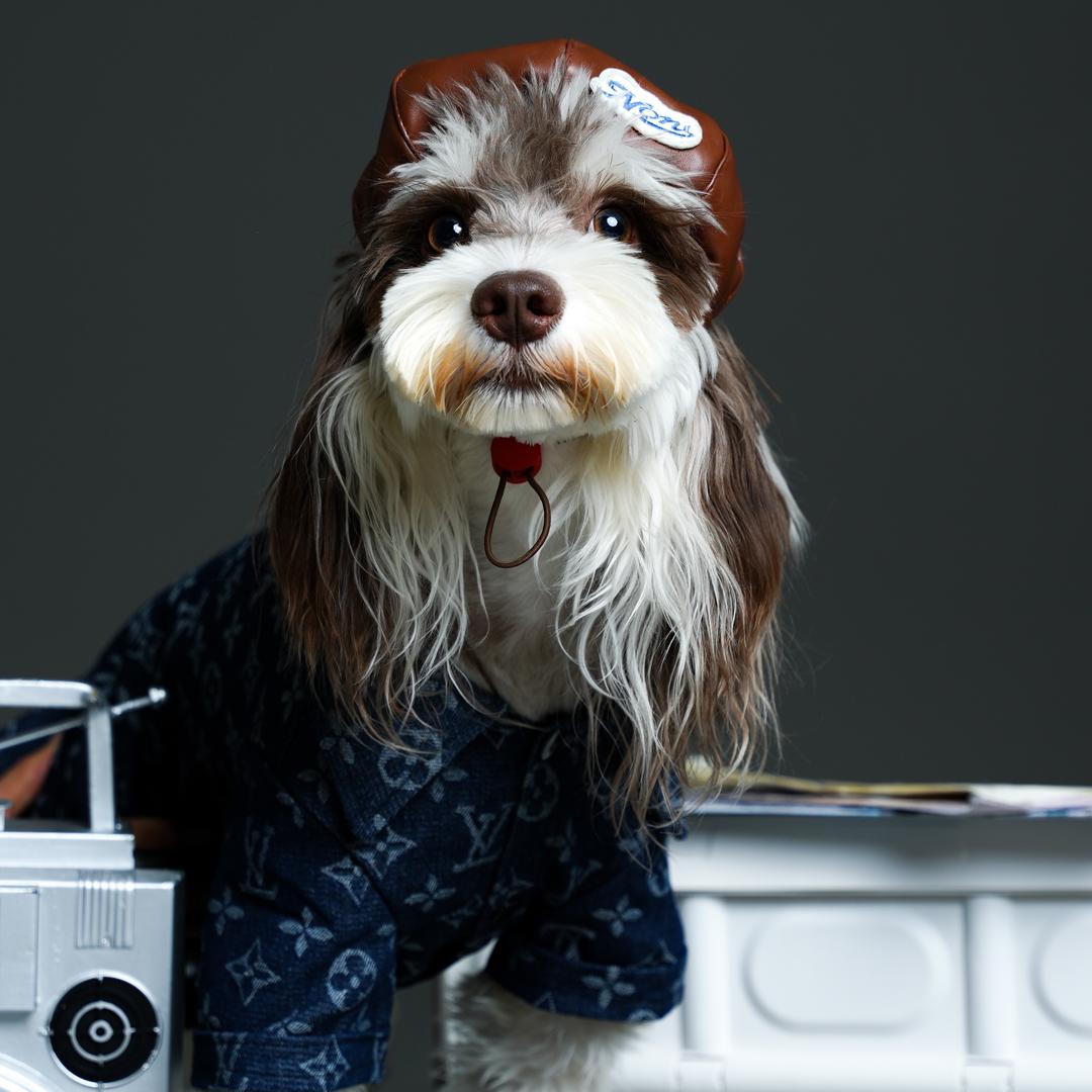 巧克力味儿的seven