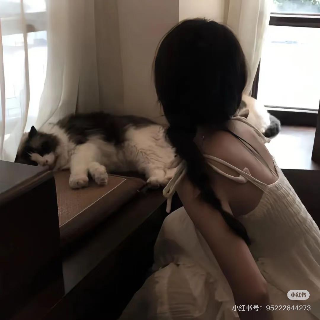 七七🐱