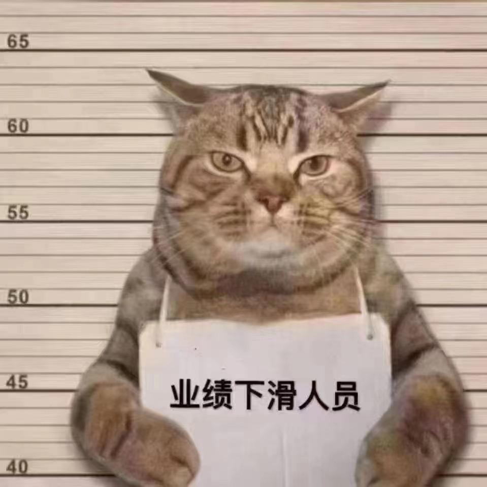 小陆-奇瑞汽车（深圳）