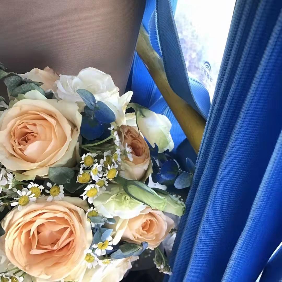 益阳TATA木门皮卡皮卡