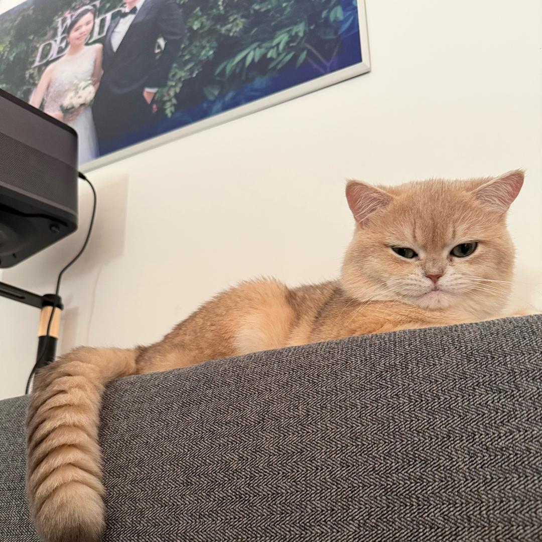 0南极熊0