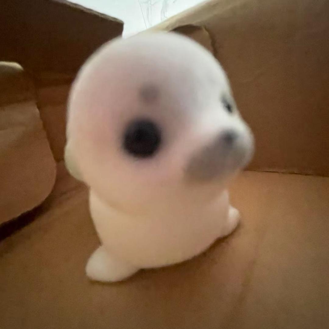 少爷情绪零碎。