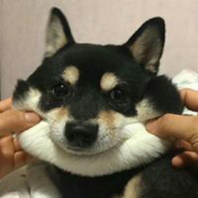 友浩呀