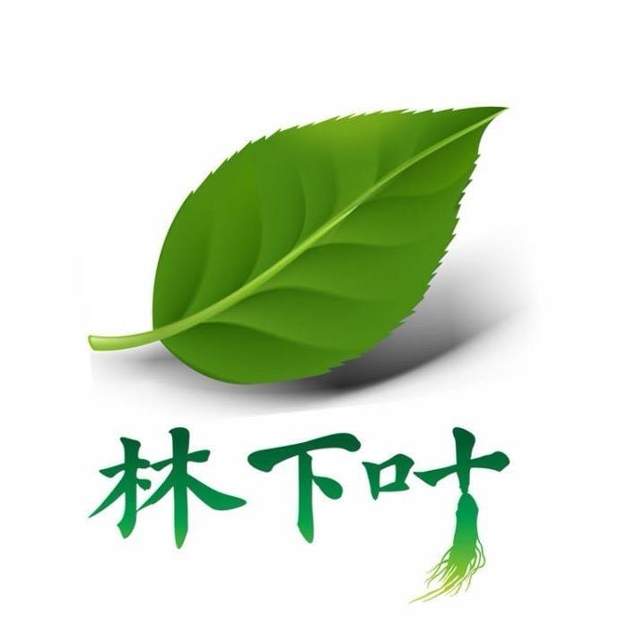 林下叶 二丫