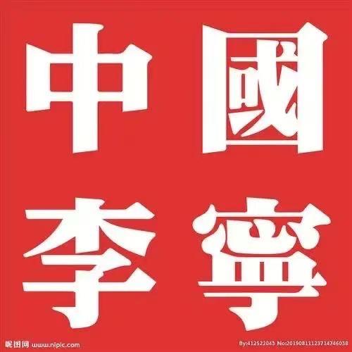 扶沟李宁