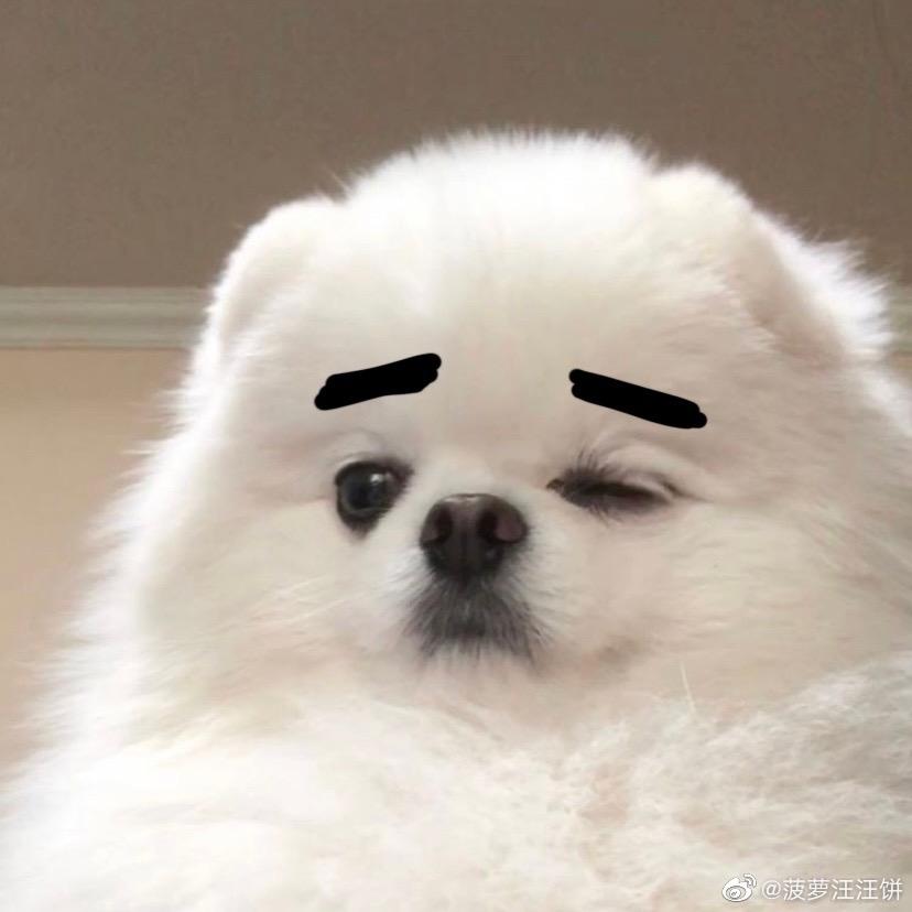 我是个球