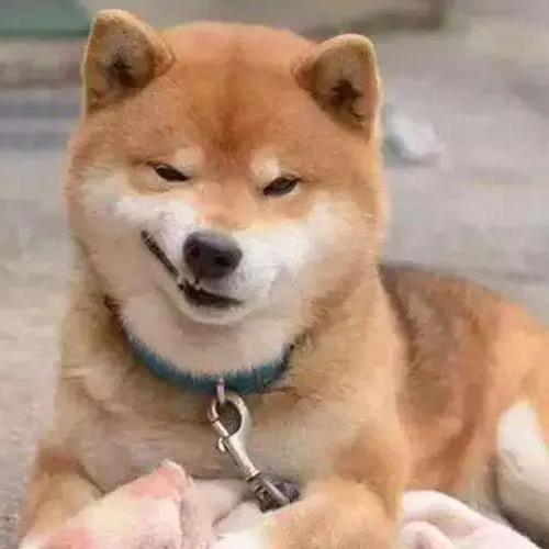 心平气和double金