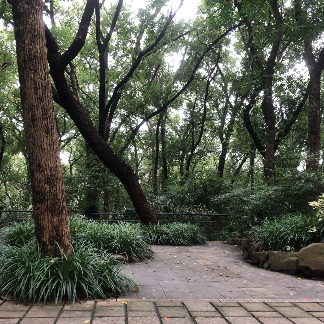 眉眼如初 岁月如故