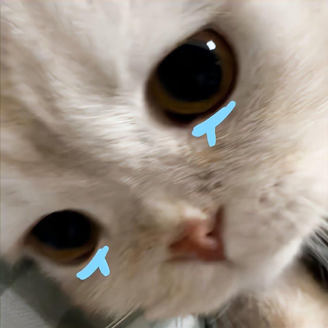 可是跟我有什么关系