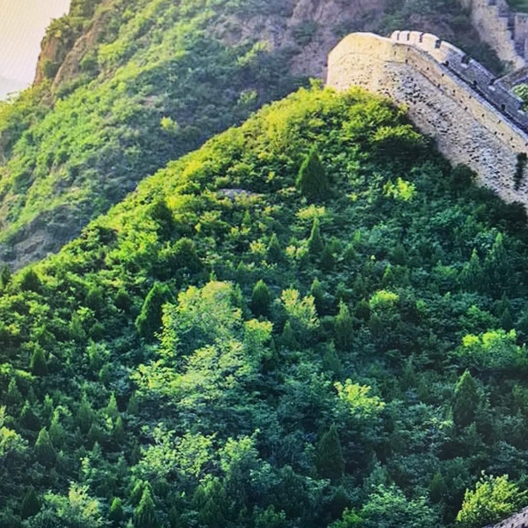 天天向上..