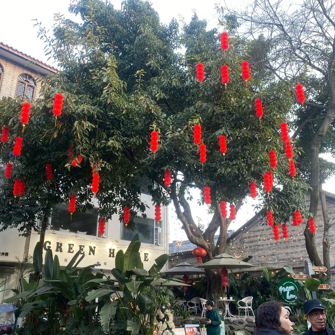 快乐人生哈哈哈