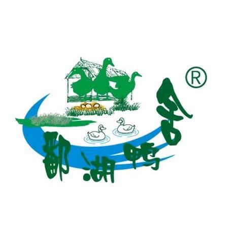 鄱湖鸭舍食安厂家