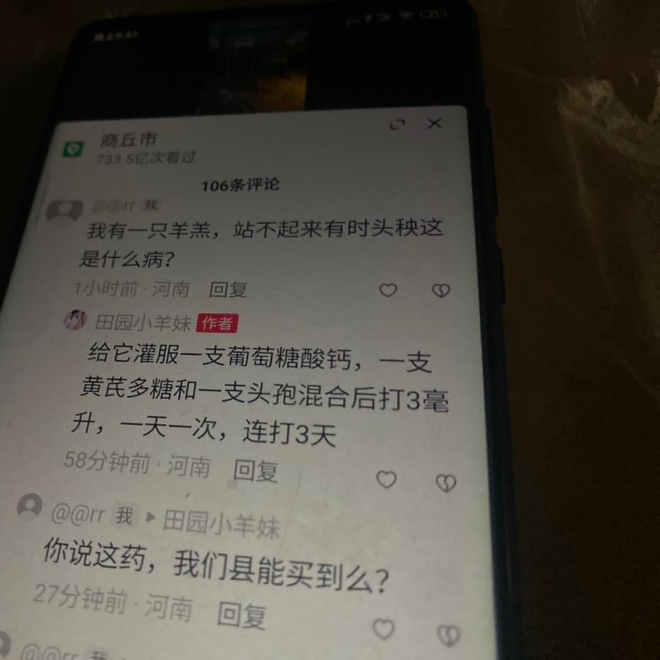 賀