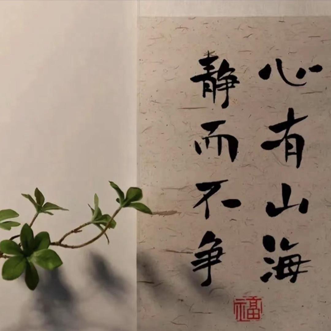 大雨🌧️