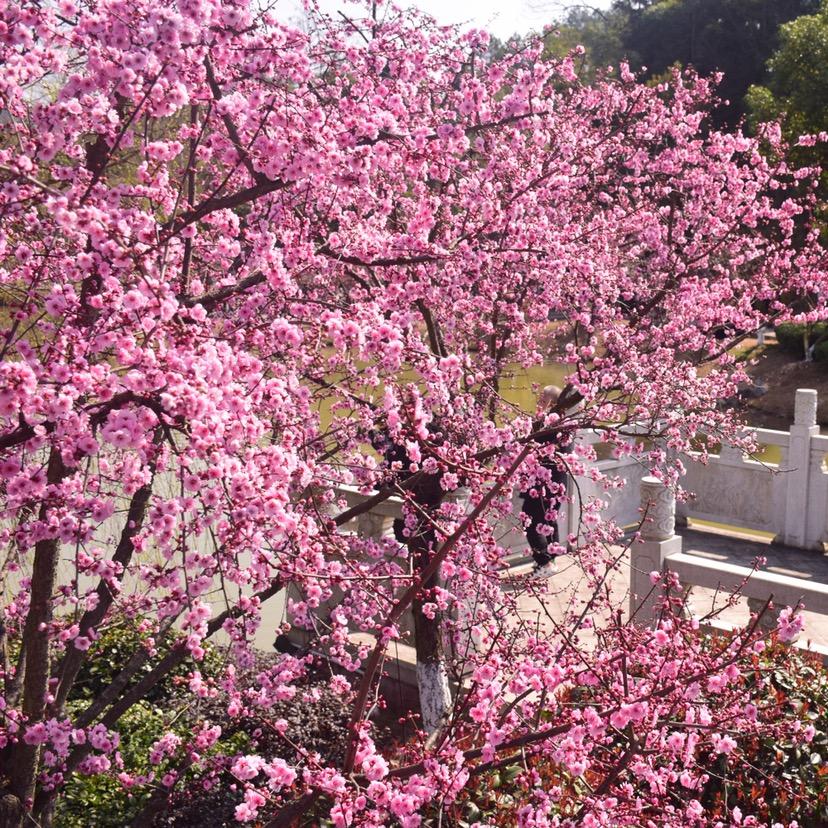 023188听广播讲故事