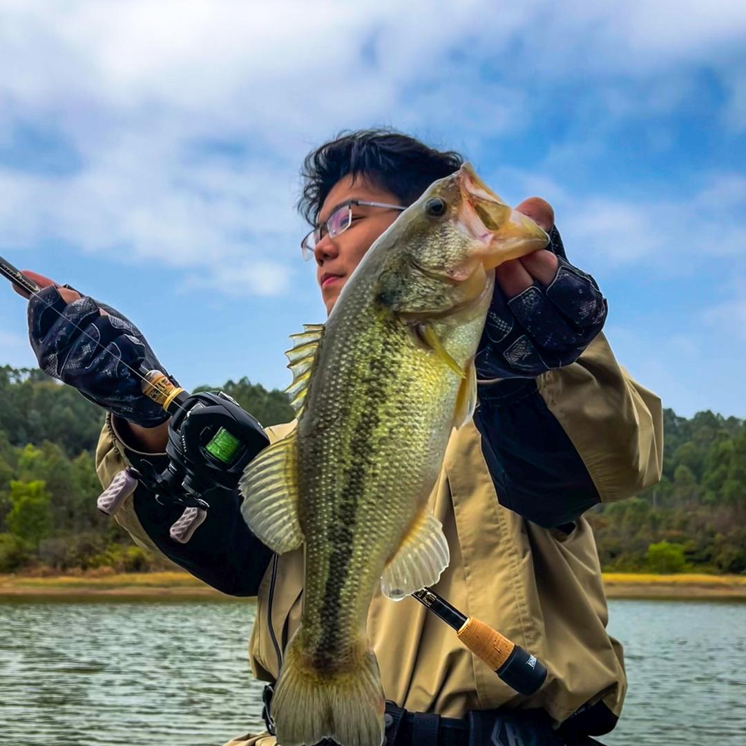 🍃 𝓥𝓪𝓷𝓮𝓼