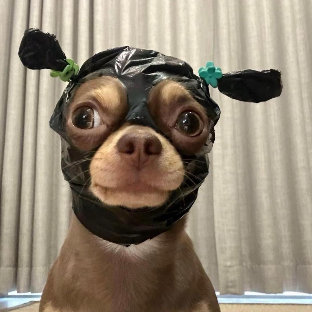 MmmH