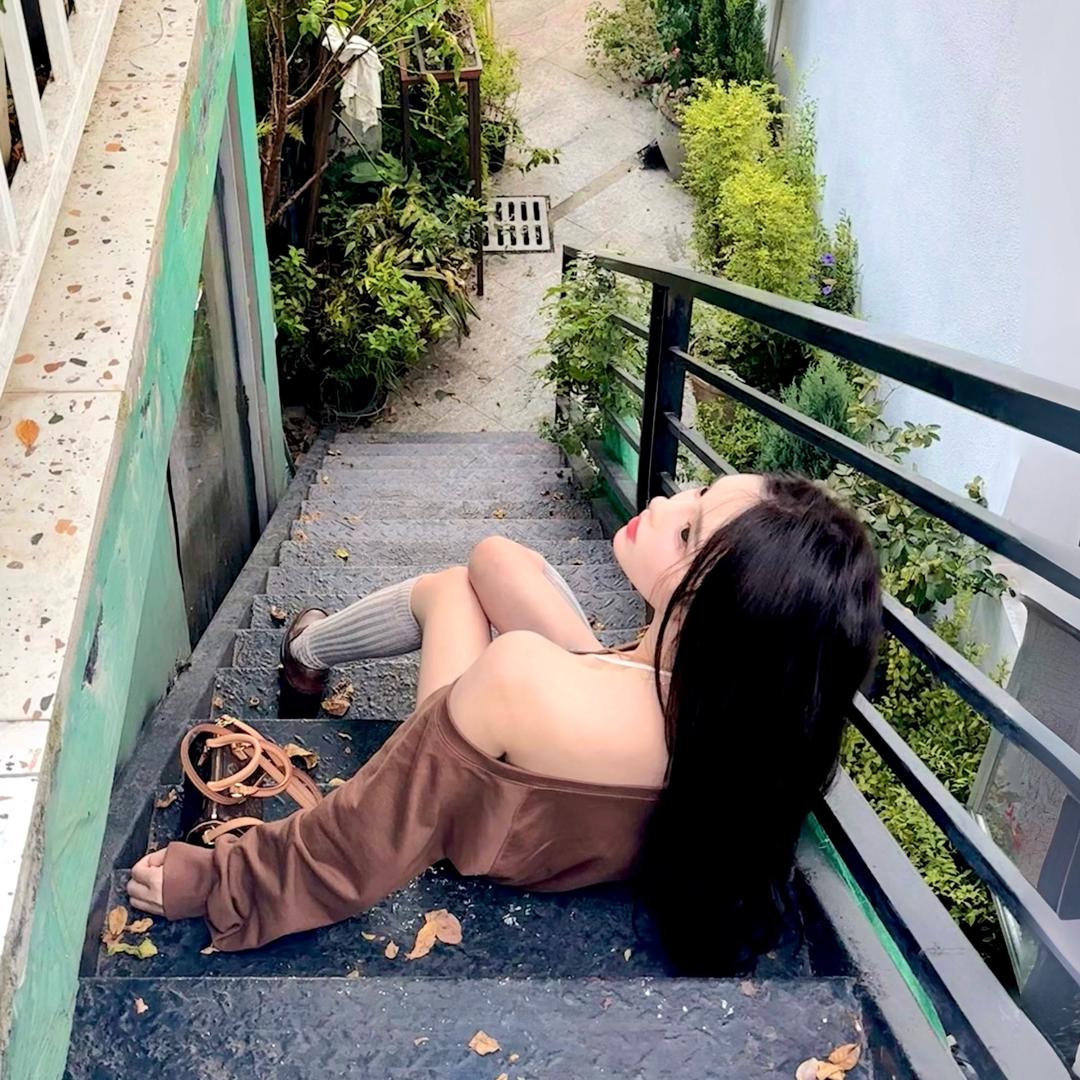 蘑eng 梦