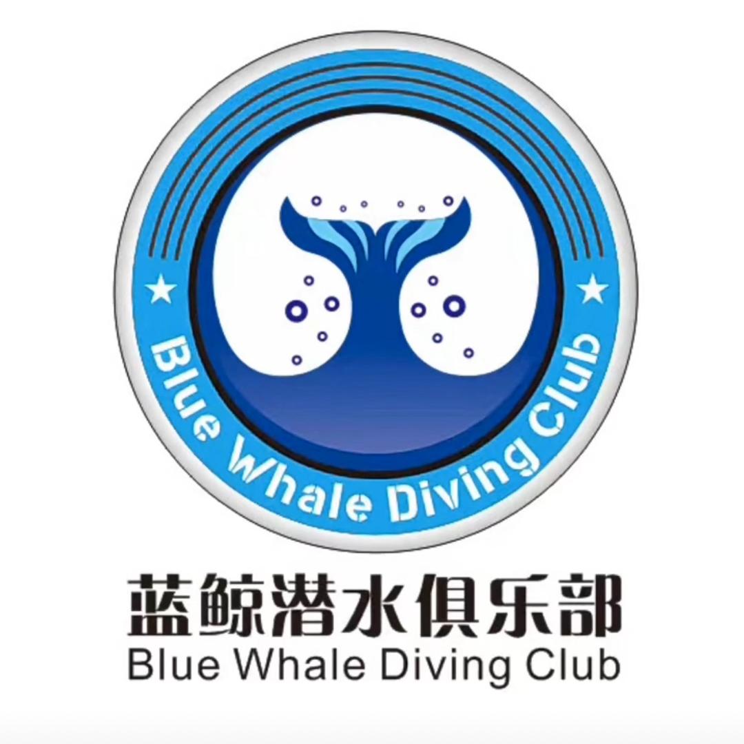 蓝鲸潜水俱乐部