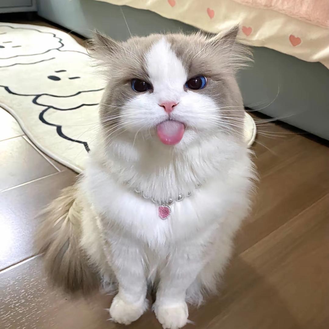 Wenn