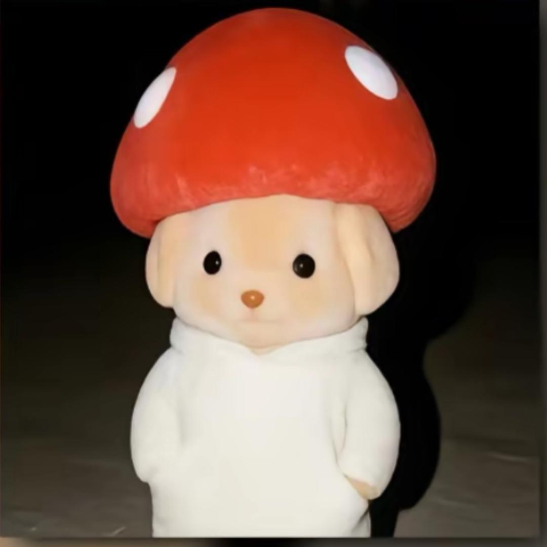 z恋恋不舍
