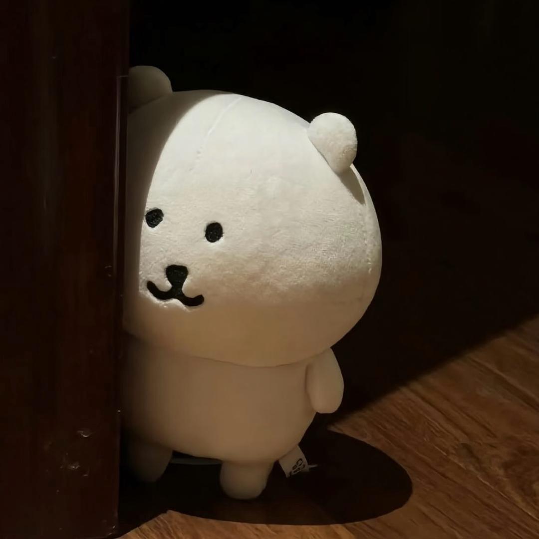 一颗柿子