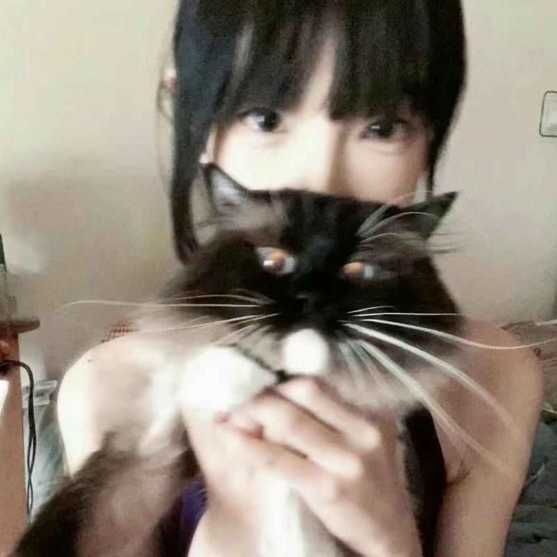 186清纯男高