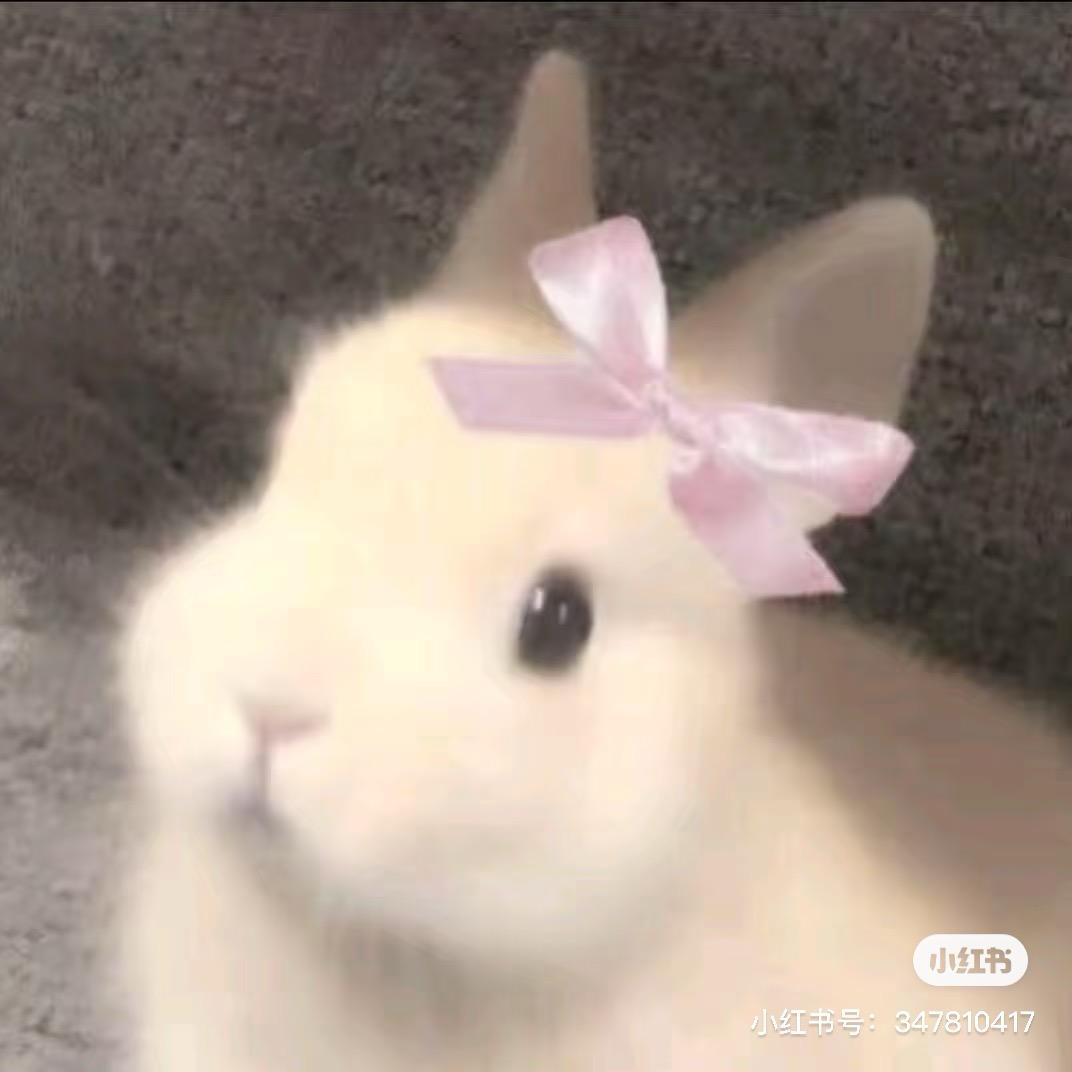 lalaaa（圆脸版）