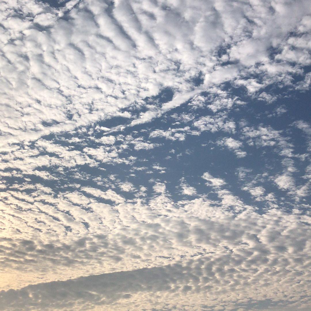 我在看