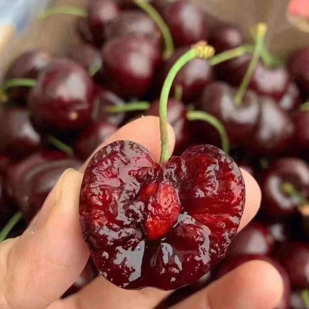 上海优莱源食品有限公司