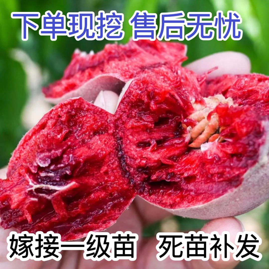谊味力航果树苗木专卖店