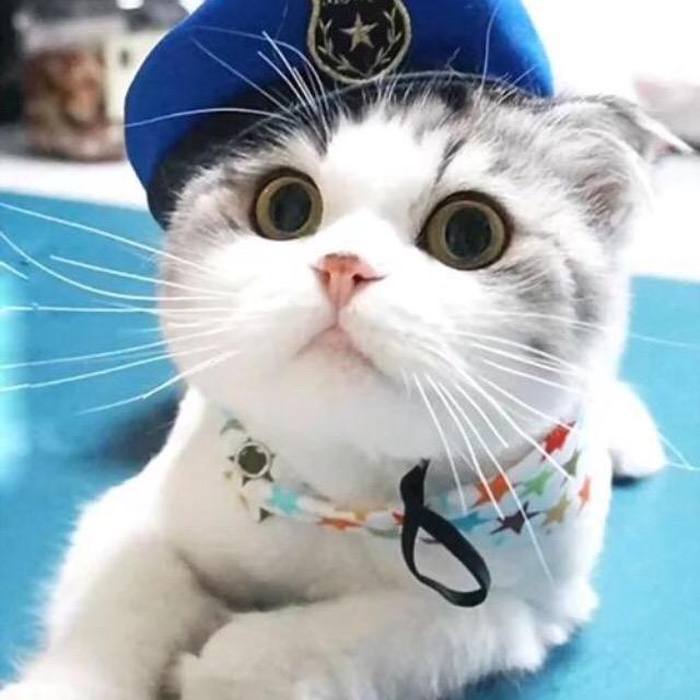 沐霜