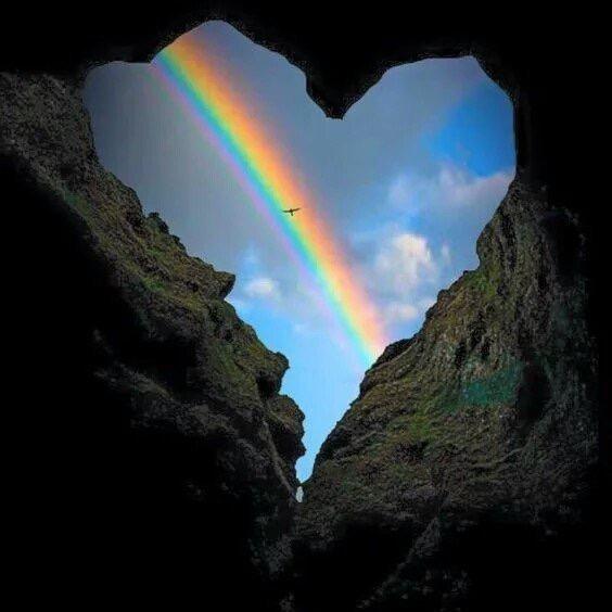 哥的拽你不配学