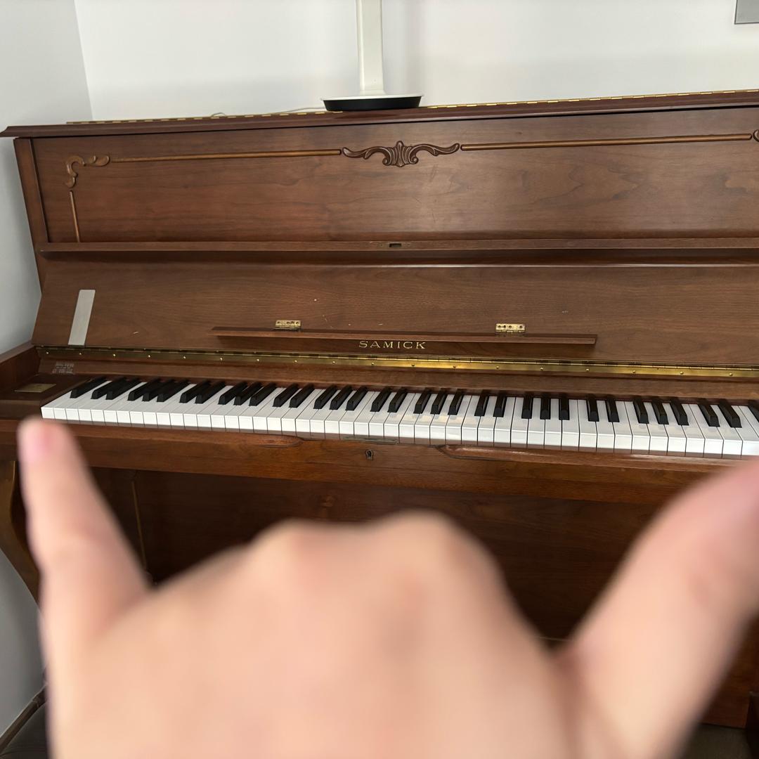 小手弹钢琴🎹